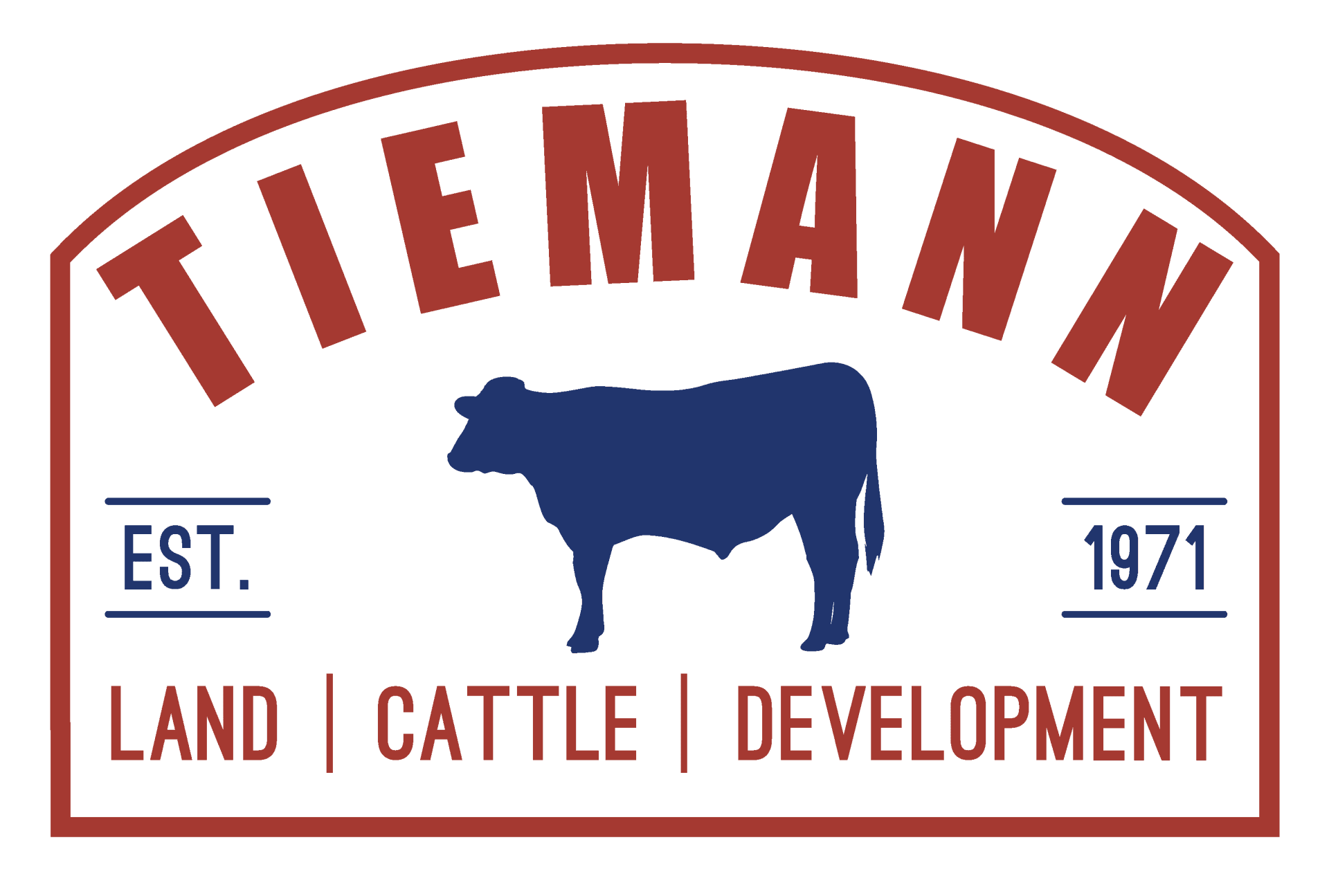 tiemann logo
